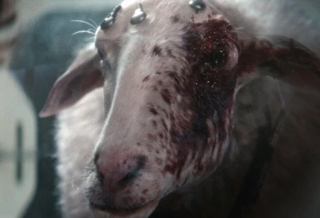 Промо-кадр из 7 серии 1 сезона сериала Чужой: Земля 2025 г