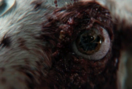 Кадр из сериала Чужой: Земля 2025 г