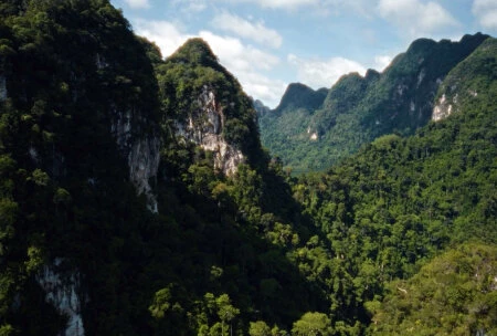 Кадр из сериала Чужой: Земля 2025 г